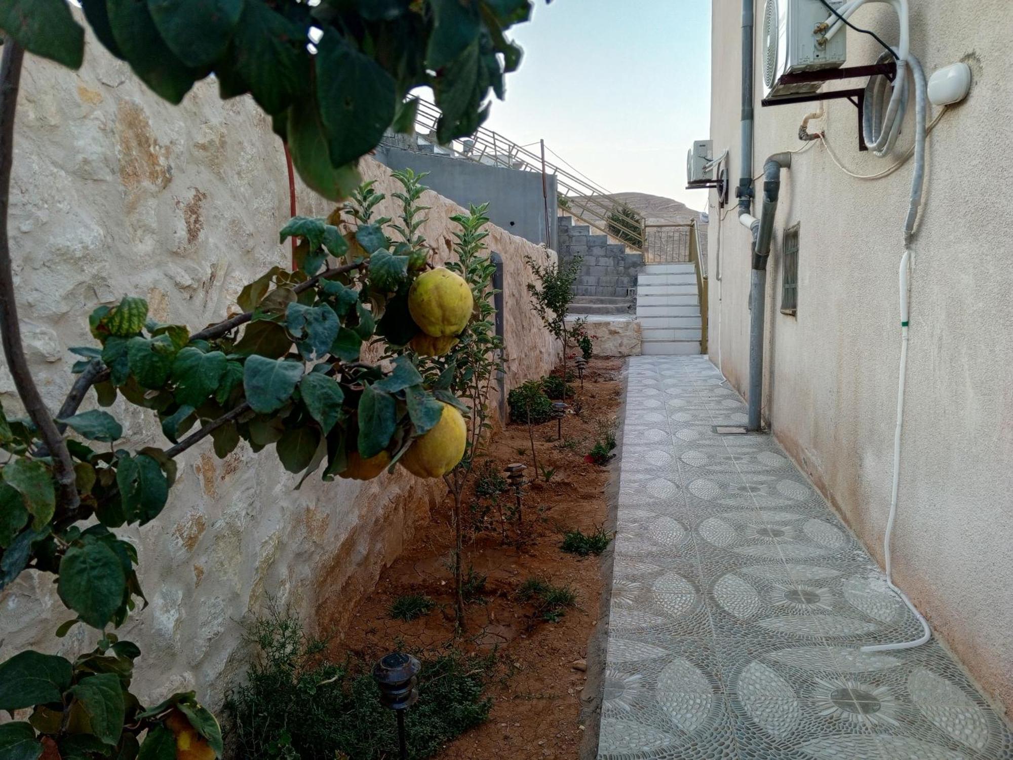 Petra Inn House Wadi Musa Exteriör bild